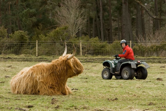 Quads in Rothiemurchus